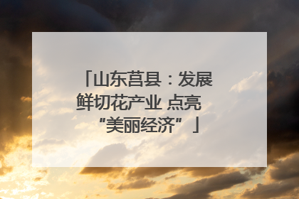 山东莒县：发展鲜切花产业 点亮“美丽经济”