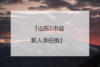 山东1市最新人事任免