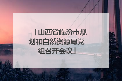 山西省临汾市规划和自然资源局党组召开会议