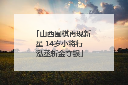 山西围棋再现新星 14岁小将行泓丞斩金夺银