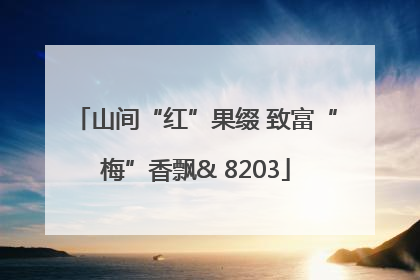 山间“红”果缀 致富“梅”香飘& 8203