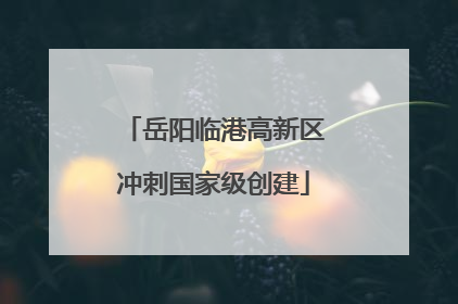 岳阳临港高新区冲刺国家级创建