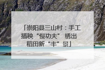 崇阳县三山村：手工插秧“慢功夫” 绣出稻田新“丰”景