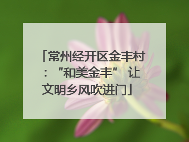 常州经开区金丰村：“和美金丰” 让文明乡风吹进门