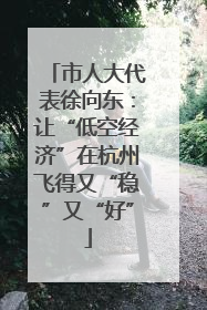 市人大代表徐向东：让“低空经济”在杭州飞得又“稳”又“好”