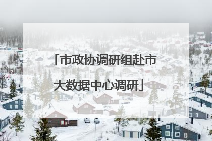 市政协调研组赴市大数据中心调研