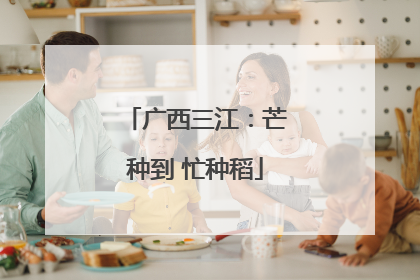 广西三江：芒种到 忙种稻