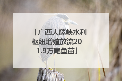 广西大藤峡水利枢纽增殖放流201.9万尾鱼苗