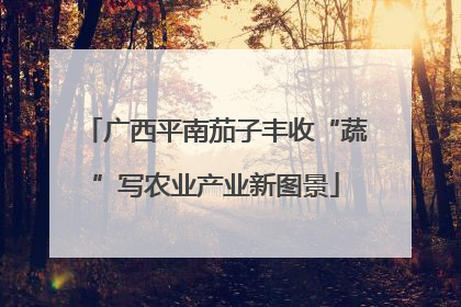 广西平南茄子丰收“蔬”写农业产业新图景