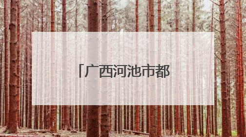 广西河池市都安高中：教师是学生高考路上的“临时父母”