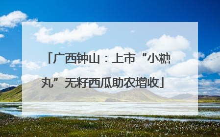 广西钟山：上市“小糖丸”无籽西瓜助农增收