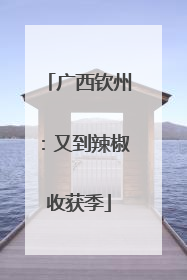 广西钦州：又到辣椒收获季