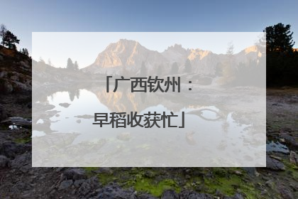 广西钦州：早稻收获忙