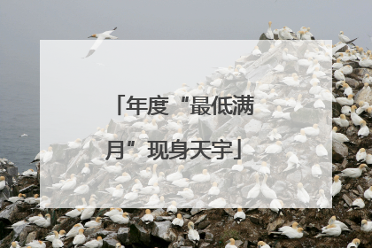 年度“最低满月”现身天宇