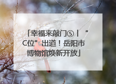 幸福来敲门⑤丨“C位”出道！岳阳市博物馆焕新开放