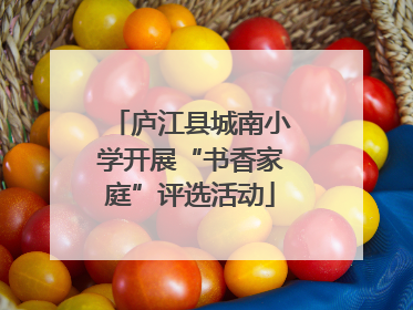 庐江县城南小学开展“书香家庭”评选活动