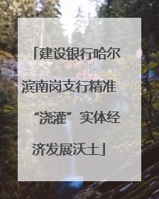 建设银行哈尔滨南岗支行精准“浇灌”实体经济发展沃土