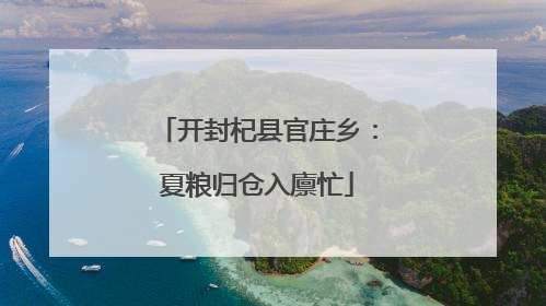 开封杞县官庄乡：夏粮归仓入廪忙