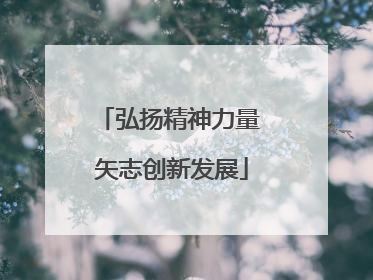 弘扬精神力量 矢志创新发展