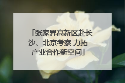 张家界高新区赴长沙、北京考察 力拓产业合作新空间