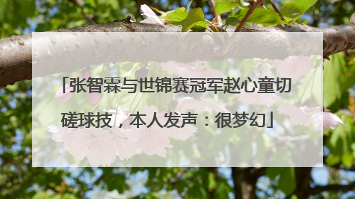 张智霖与世锦赛冠军赵心童切磋球技，本人发声：很梦幻