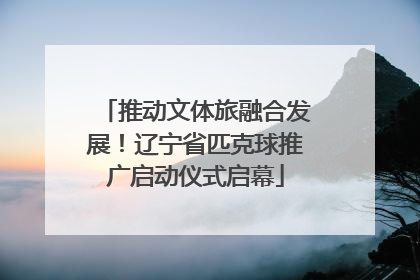推动文体旅融合发展！辽宁省匹克球推广启动仪式启幕