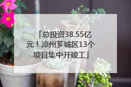 总投资38.55亿元！漳州芗城区13个项目集中开竣工