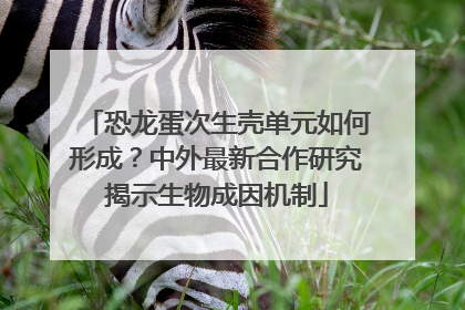 恐龙蛋次生壳单元如何形成？中外最新合作研究揭示生物成因机制
