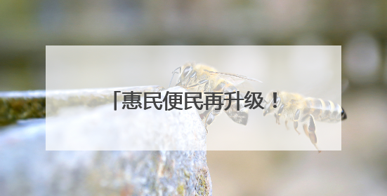 惠民便民再升级！河口汽车站至保税区公交班线正式开通