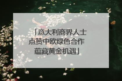 意大利商界人士点赞中欧绿色合作蕴藏黄金机遇