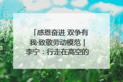 感恩奋进 双争有我·致敬劳动模范｜李宁：行走在高空的“电网卫士”