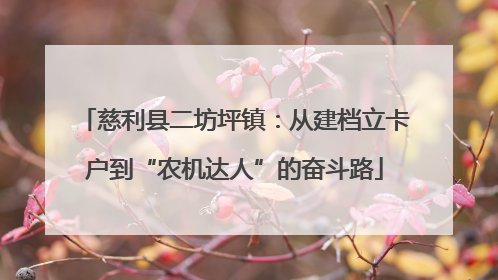 慈利县二坊坪镇：从建档立卡户到“农机达人”的奋斗路