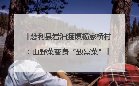 慈利县岩泊渡镇杨家桥村：山野菜变身“致富菜”