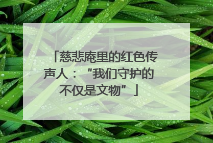慈悲庵里的红色传声人：“我们守护的不仅是文物”