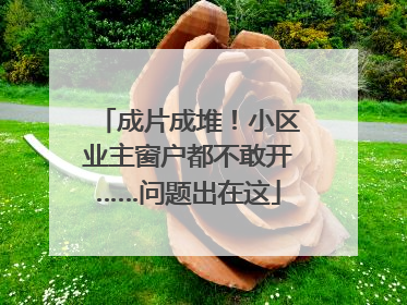 成片成堆！小区业主窗户都不敢开……问题出在这