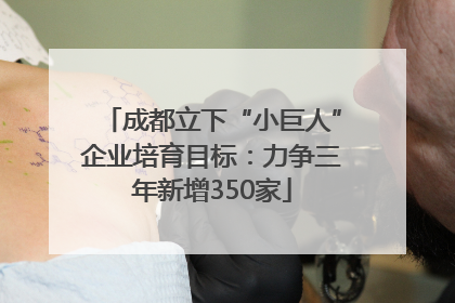 成都立下“小巨人”企业培育目标：力争三年新增350家