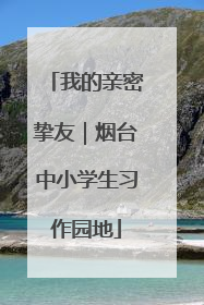 我的亲密挚友｜烟台中小学生习作园地