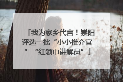 我为家乡代言！崇阳评选一批“小小推介官”“红领巾讲解员”