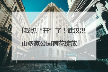 我想“开”了！武汉洪山多家公园荷花绽放