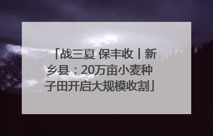 战三夏 保丰收丨新乡县：20万亩小麦种子田开启大规模收割