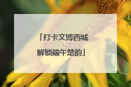 打卡文博西城 解锁端午楚韵
