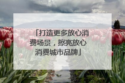 打造更多放心消费场景，擦亮放心消费城市品牌