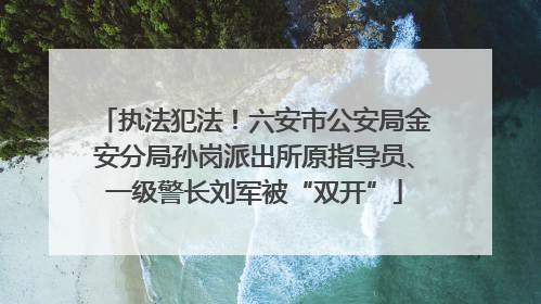执法犯法！六安市公安局金安分局孙岗派出所原指导员、一级警长刘军被“双开”