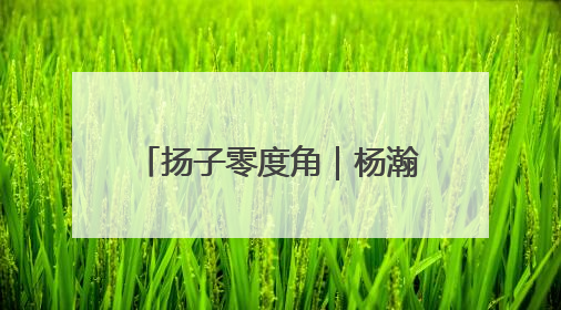 扬子零度角｜杨瀚森选秀前景：顺位之外，成长至上