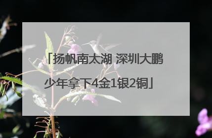 扬帆南太湖 深圳大鹏少年拿下4金1银2铜