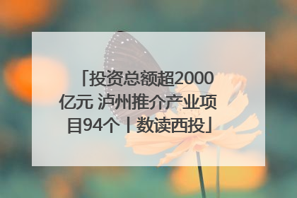 投资总额超2000亿元 泸州推介产业项目94个丨数读西投
