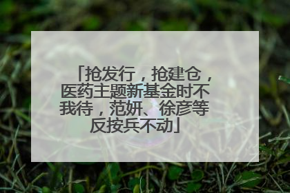 抢发行，抢建仓，医药主题新基金时不我待，范妍、徐彦等反按兵不动