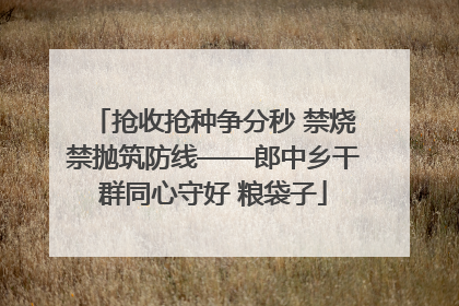 抢收抢种争分秒 禁烧禁抛筑防线——郎中乡干群同心守好 粮袋子