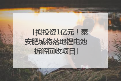 拟投资1亿元！泰安肥城将落地锂电池拆解回收项目