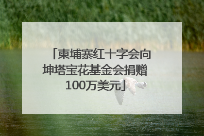 柬埔寨红十字会向坤塔宝花基金会捐赠100万美元